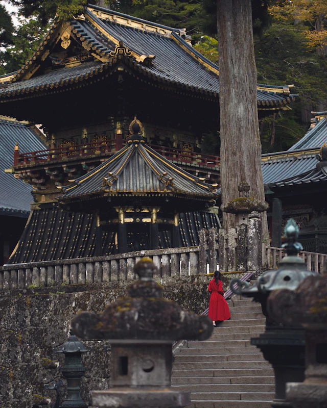 【2026年最新】栃木一人旅完全ガイド｜日帰り~1泊2日で巡る世界遺産と絶品グルメの旅