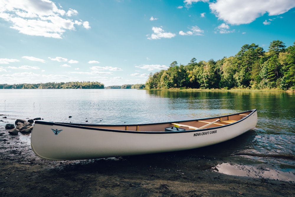 uma canoa branca sentada na margem de um lago