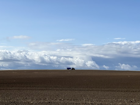 Freshly graded land with visible tire tracks and a clear horizon in rural South Carolina.