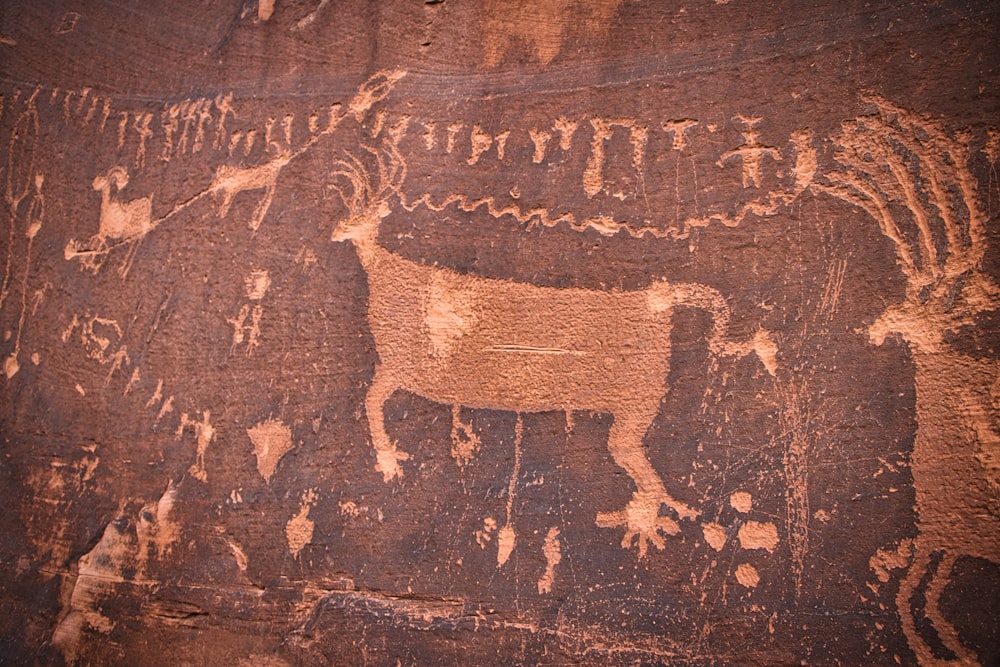 a painting of a cow on a rock wall