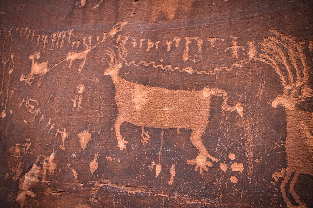 Un dipinto di una mucca su una parete di roccia