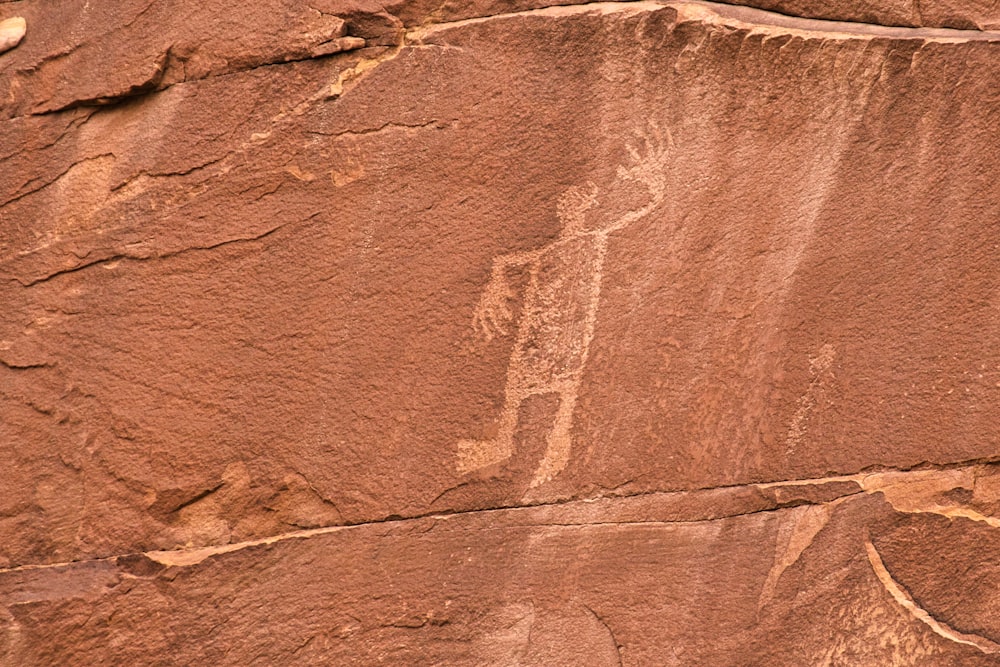 a close up of a rock with a bird on it