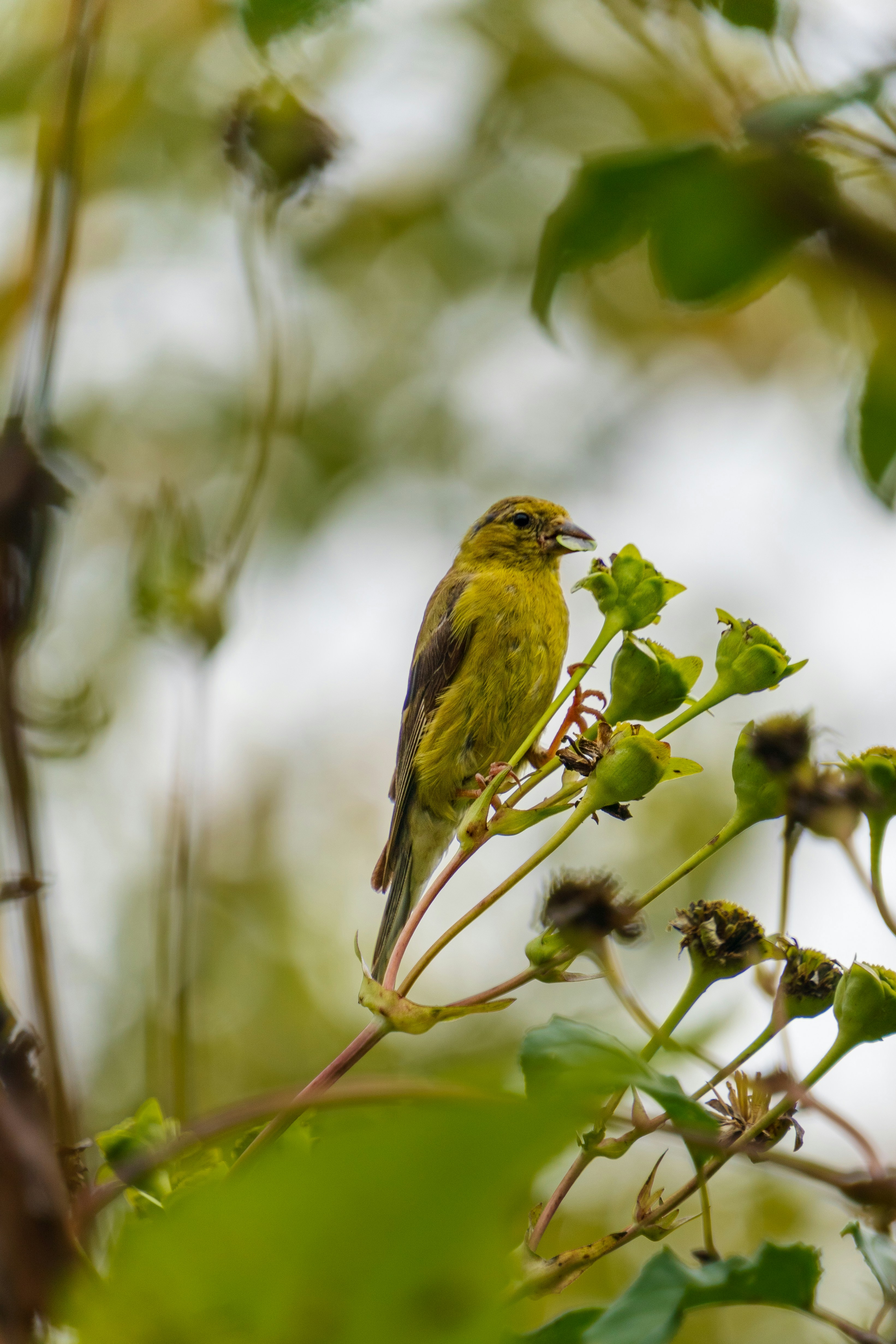 Photo by whereiskylenow