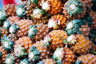 A large pile of fresh pineapples with green tops and golden-brown skin.