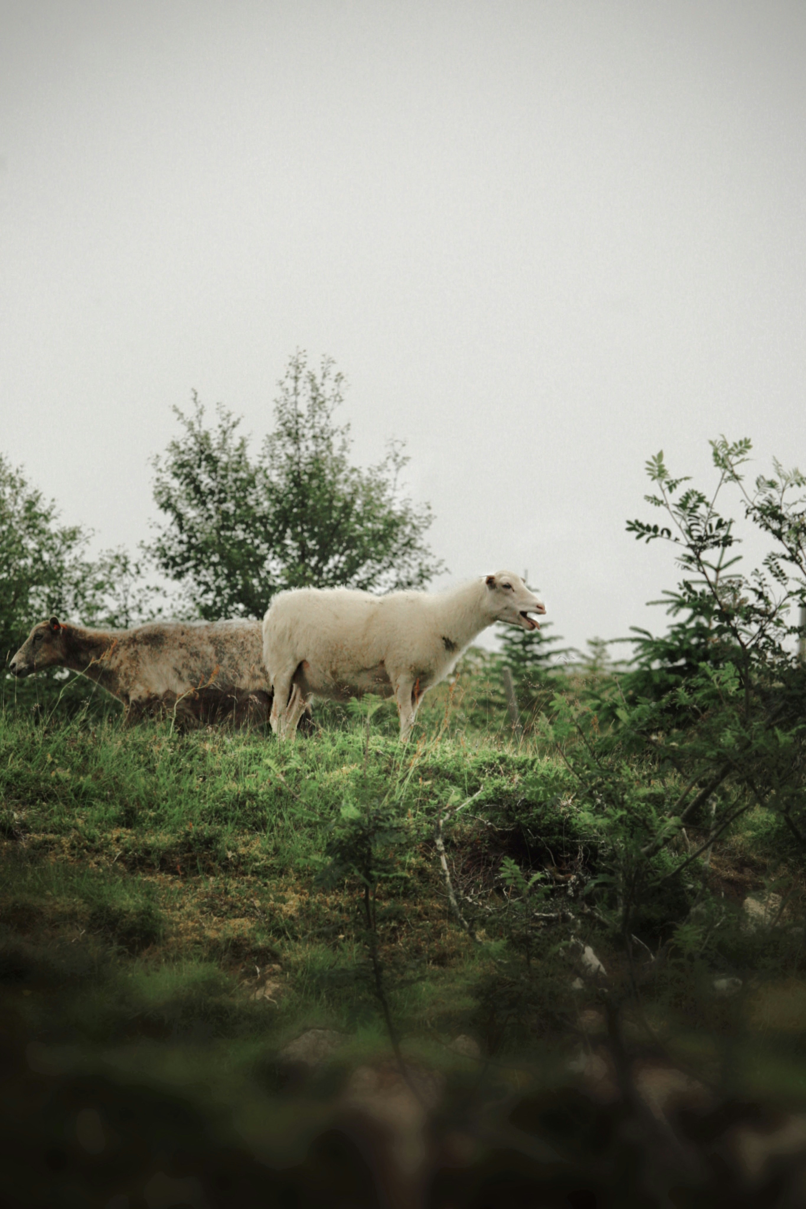 Photo by kristinokarlsen