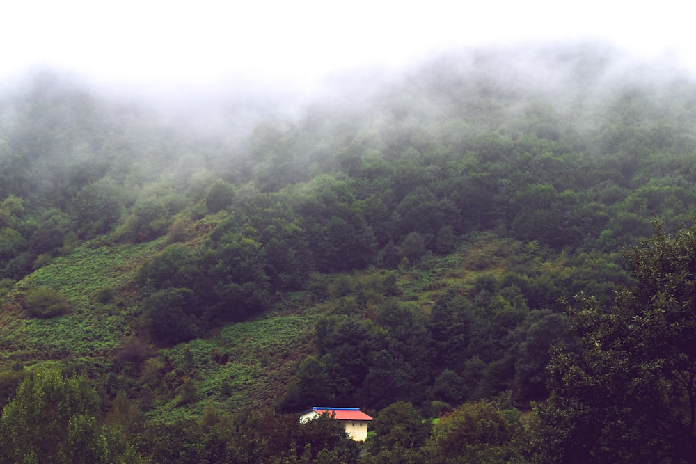 a house on the side of a mountain covered in fog