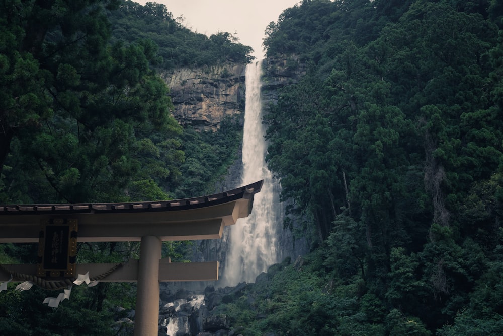 a large waterfall in the middle of a forest