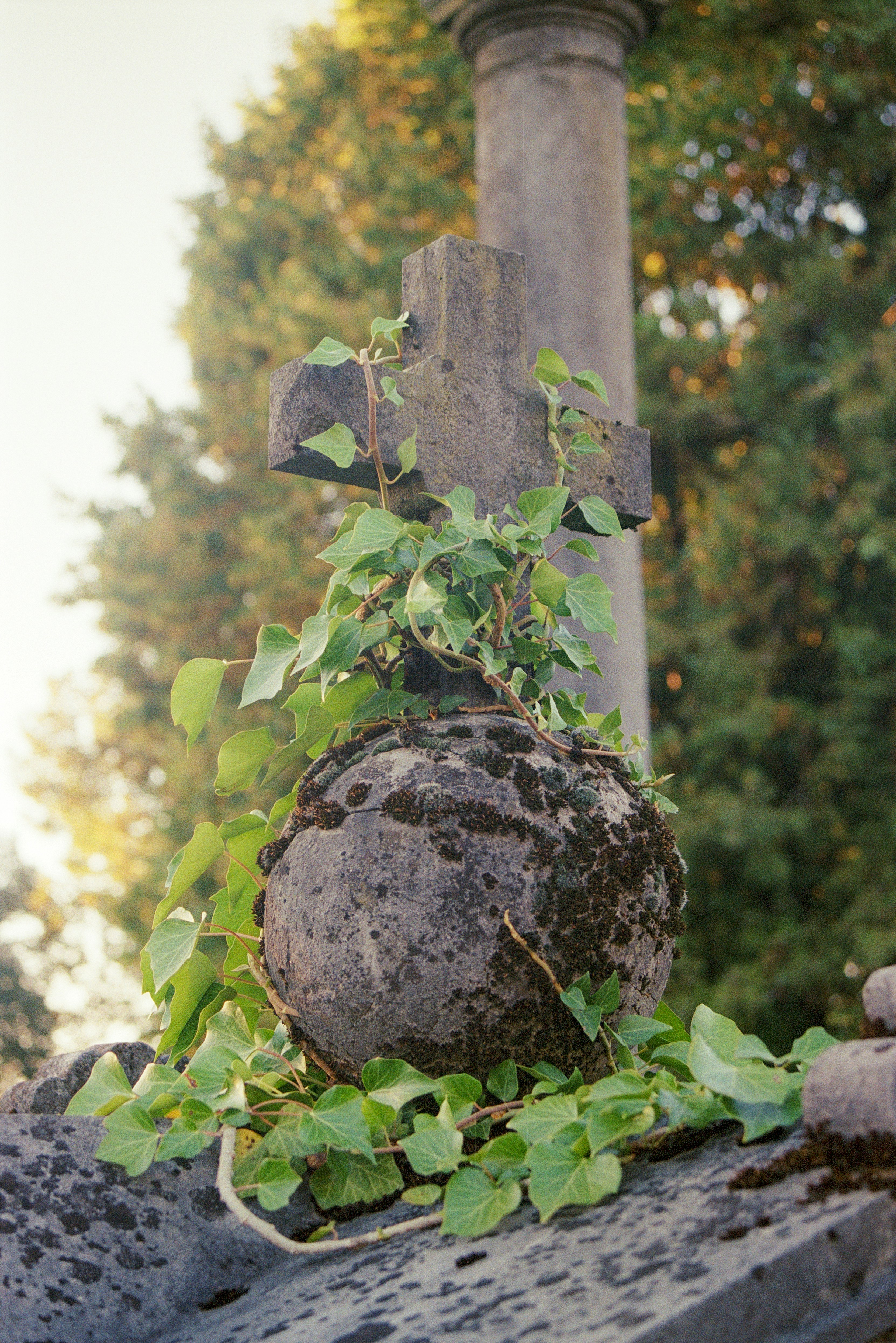 a stone cross with vines growing out of it