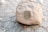 A textured rock with a bronze plaque featuring an engraved emblem and text is situated on a patterned cobblestone pavement.