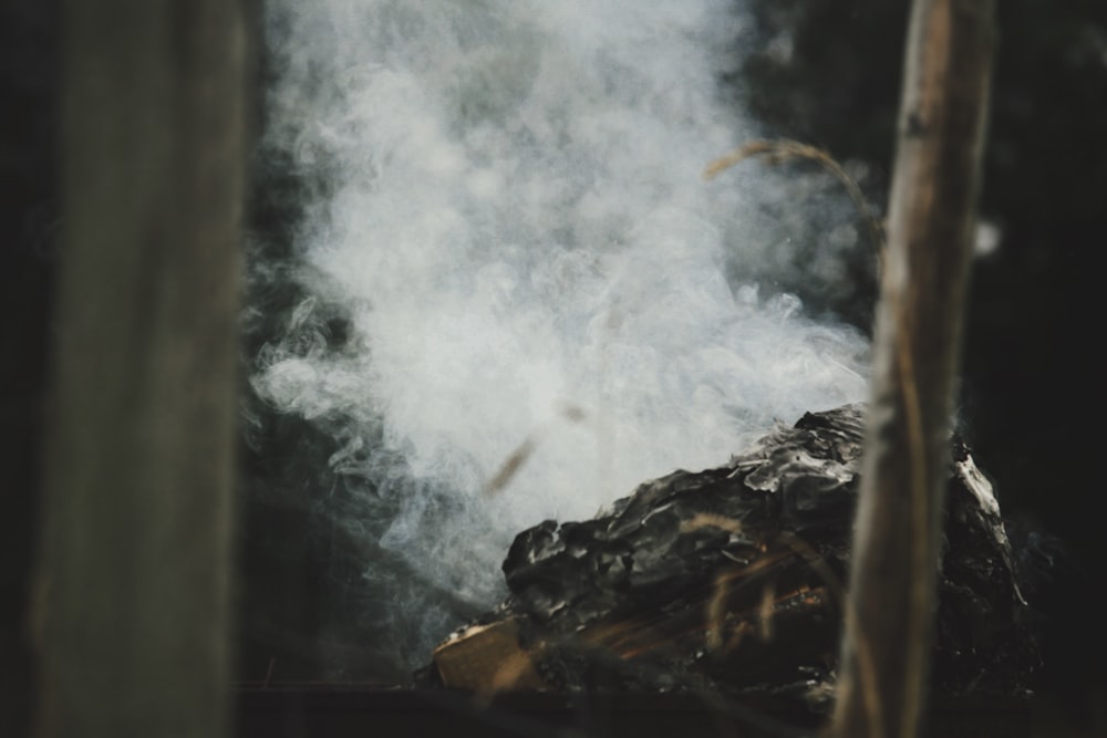 smoke coming out of a pile of wood in the woods
