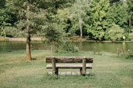 A peaceful garden bench under a tree, inviting quiet contemplation and rest.