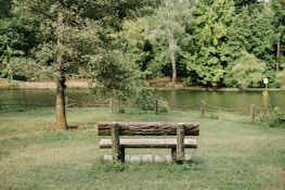 A peaceful outdoor scene with a journal and pen resting on a wooden bench.