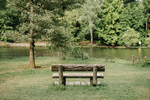 A peaceful lakeside spot with a bench inviting reflection.