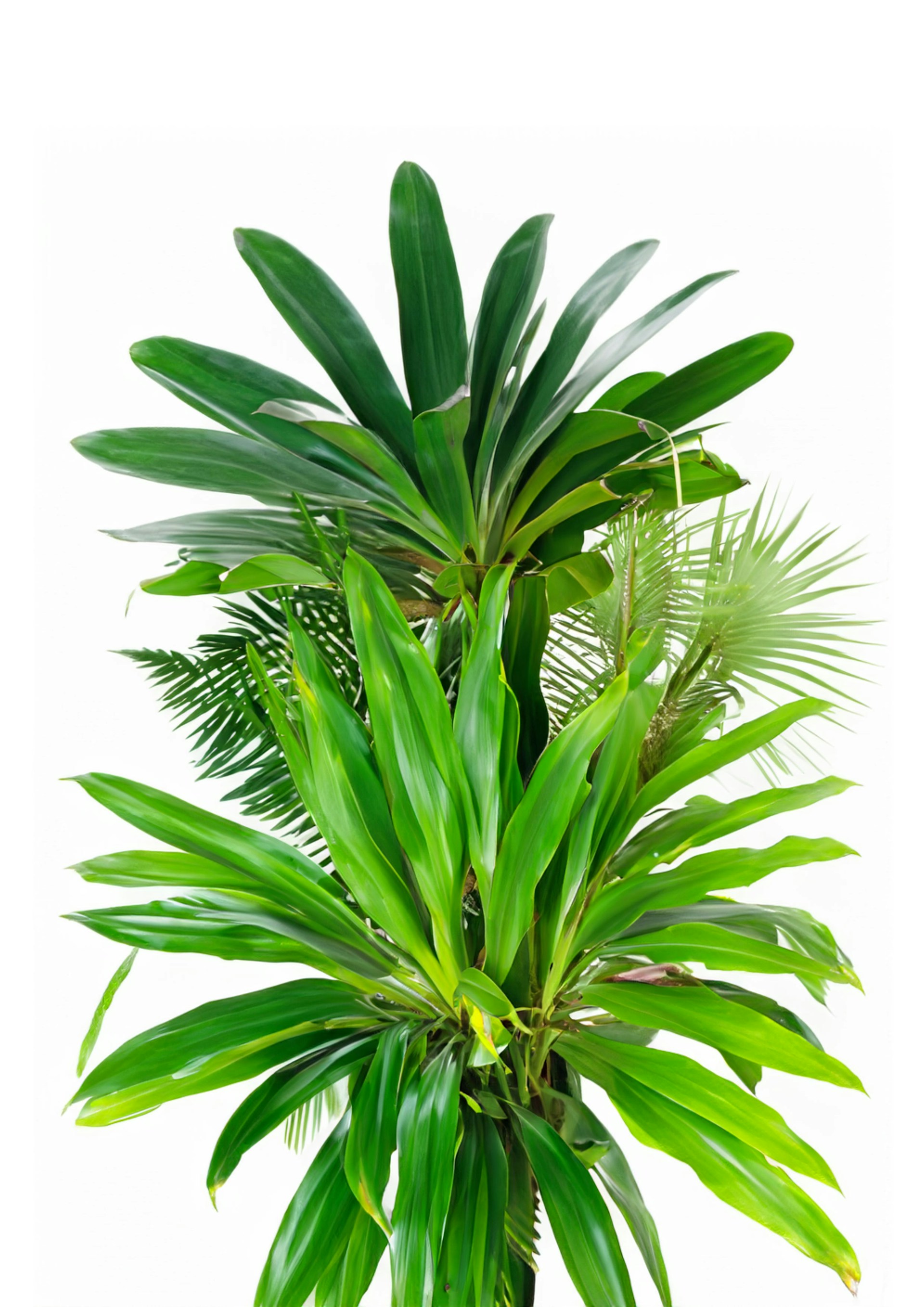 woman wearing yellow long-sleeved dress under white clouds and blue sky during daytime