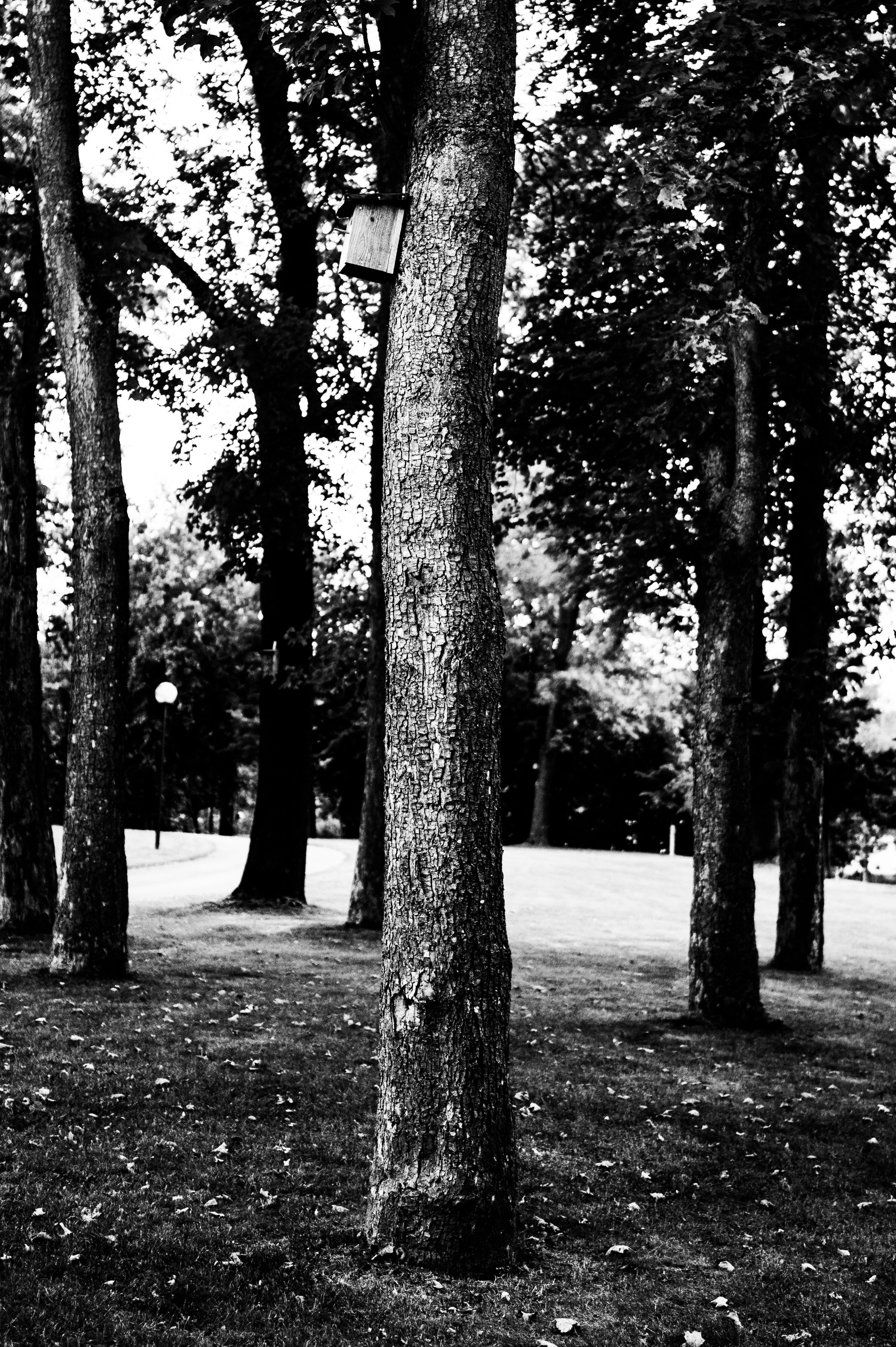 Photo by fotografiedick