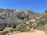 A large white sign spelling 'Hollywood' is mounted on a hillside covered with dry, bushy vegetation. The sky above is clear and blue, and a tall communications tower stands behind the sign. The landscape features a mix of dusty trails and green shrubs.