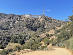 A large white sign spelling 'Hollywood' is mounted on a hillside covered with dry, bushy vegetation. The sky above is clear and blue, and a tall communications tower stands behind the sign. The landscape features a mix of dusty trails and green shrubs.