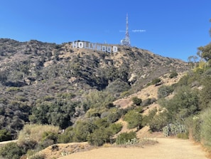 A large white sign spelling 'Hollywood' is mounted on a hillside covered with dry, bushy vegetation. The sky above is clear and blue, and a tall communications tower stands behind the sign. The landscape features a mix of dusty trails and green shrubs.