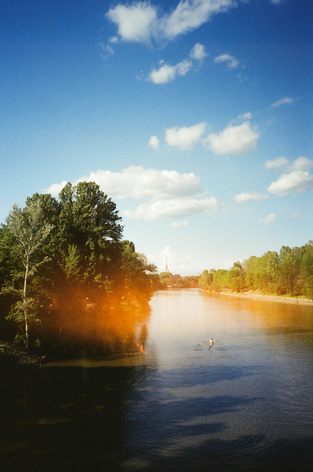 a body of water surrounded by trees and clouds