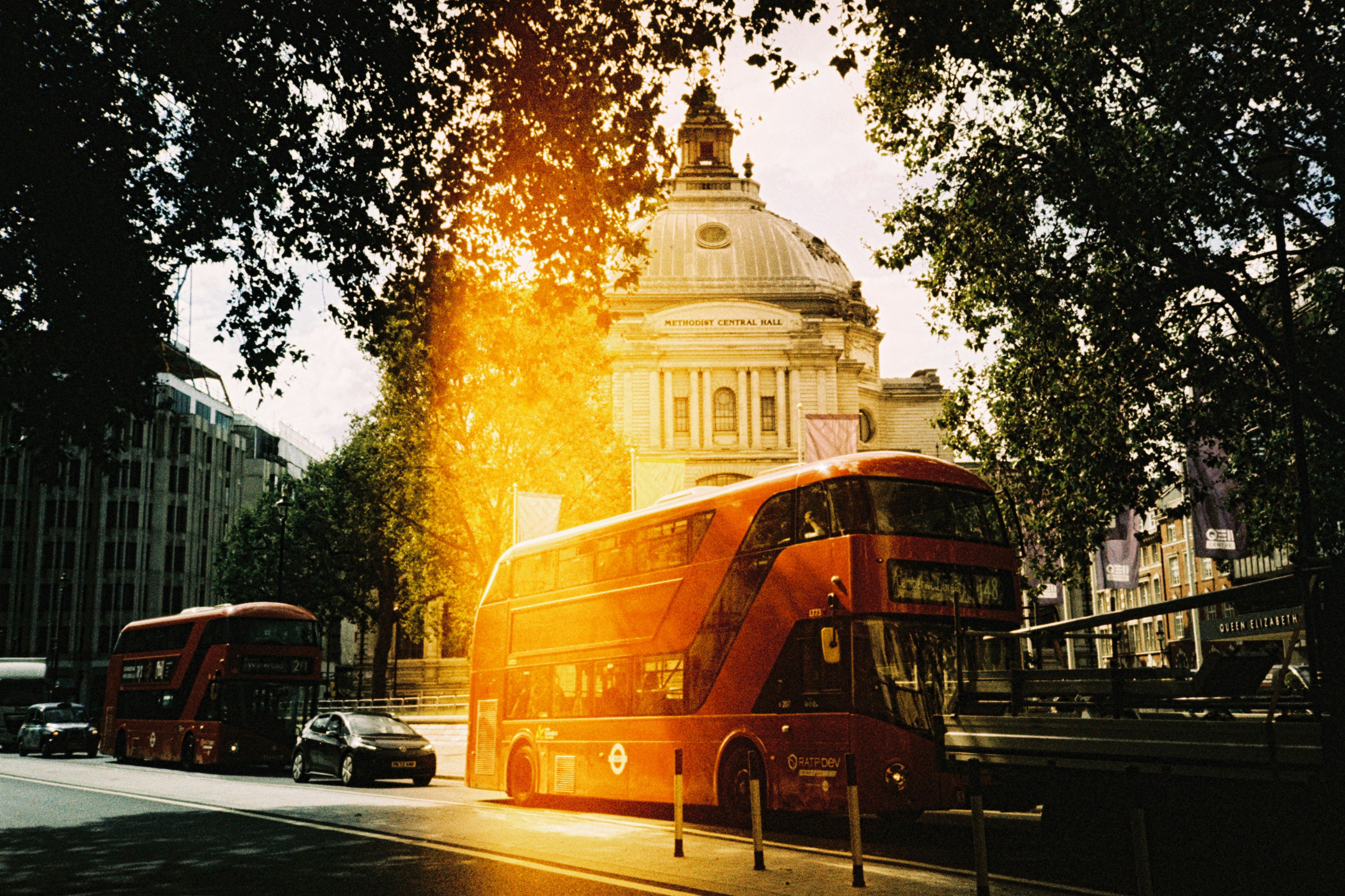 a couple of sea turtles swimming next to each other