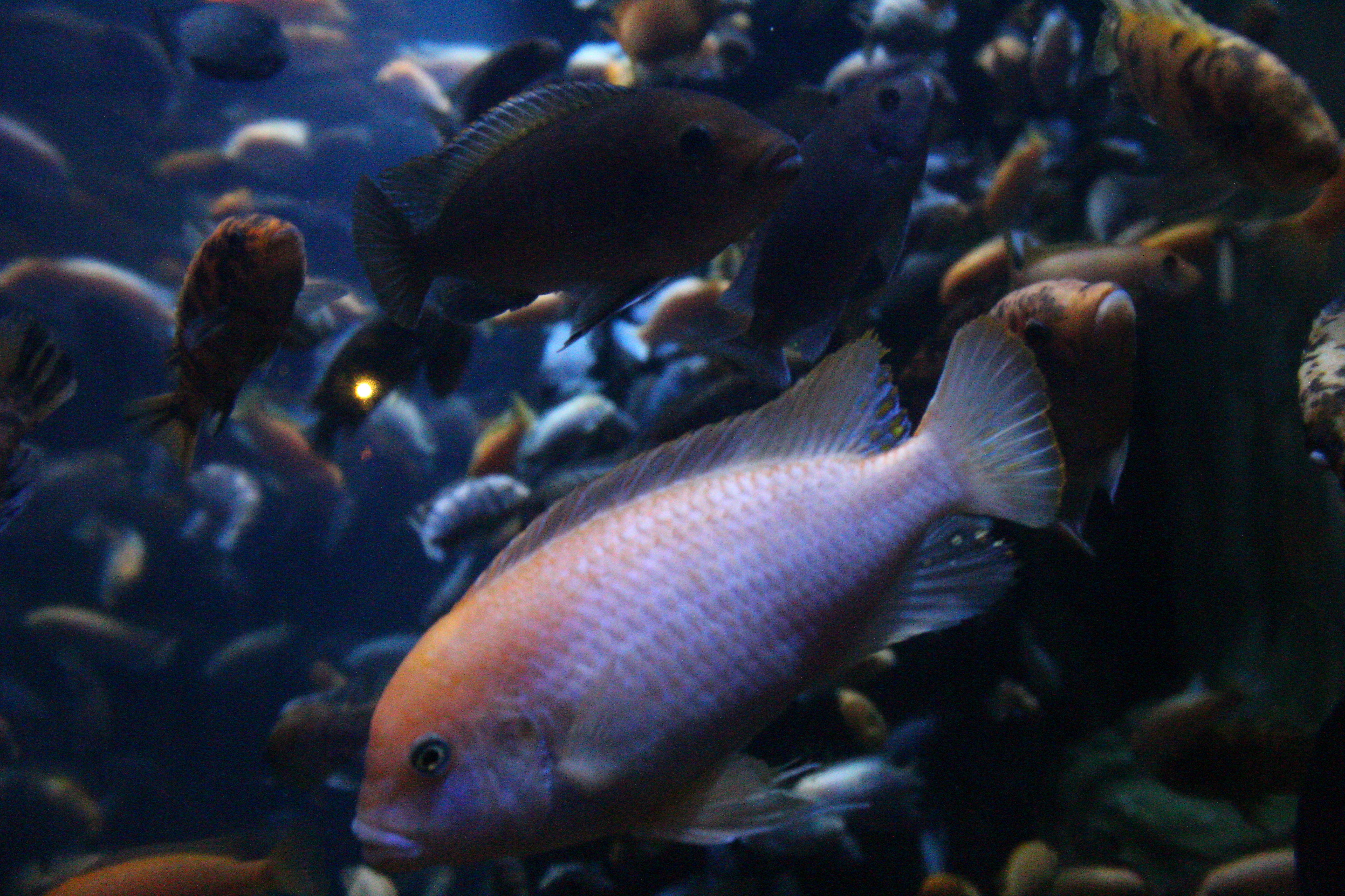 Photo by astro_lex18