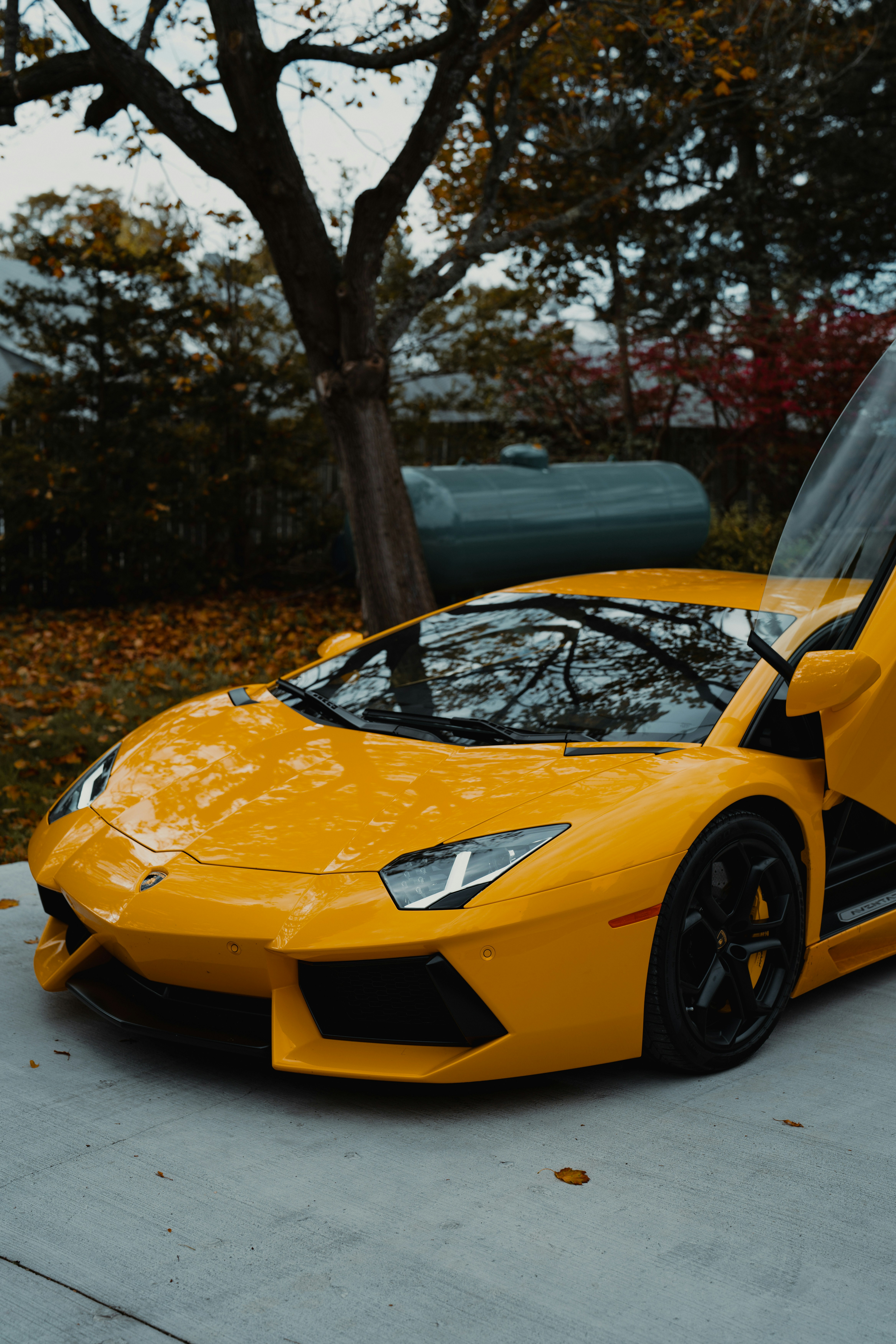 Photo by francotheshooter