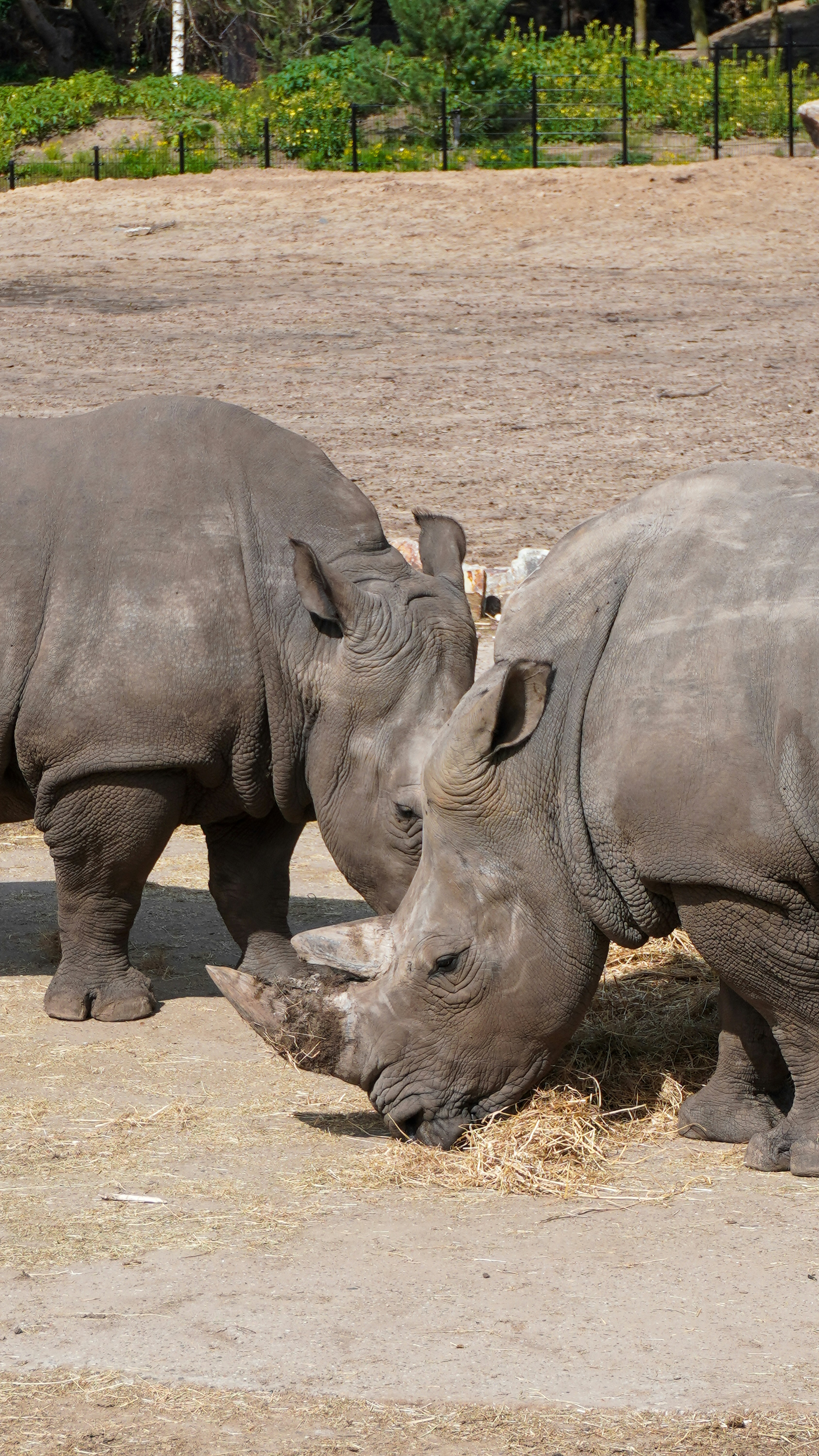 Photo by bartgriensven