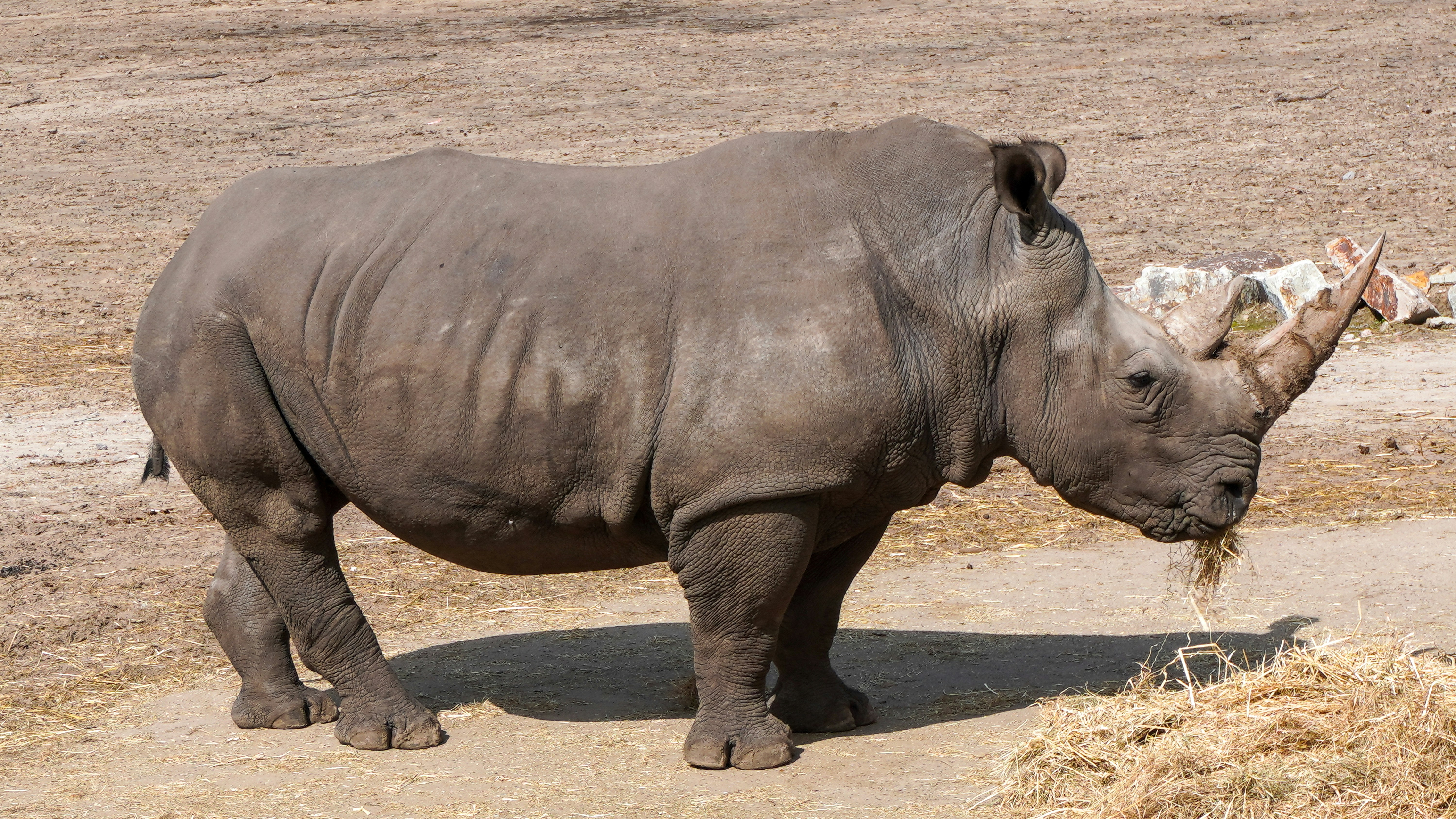 Photo by bartgriensven