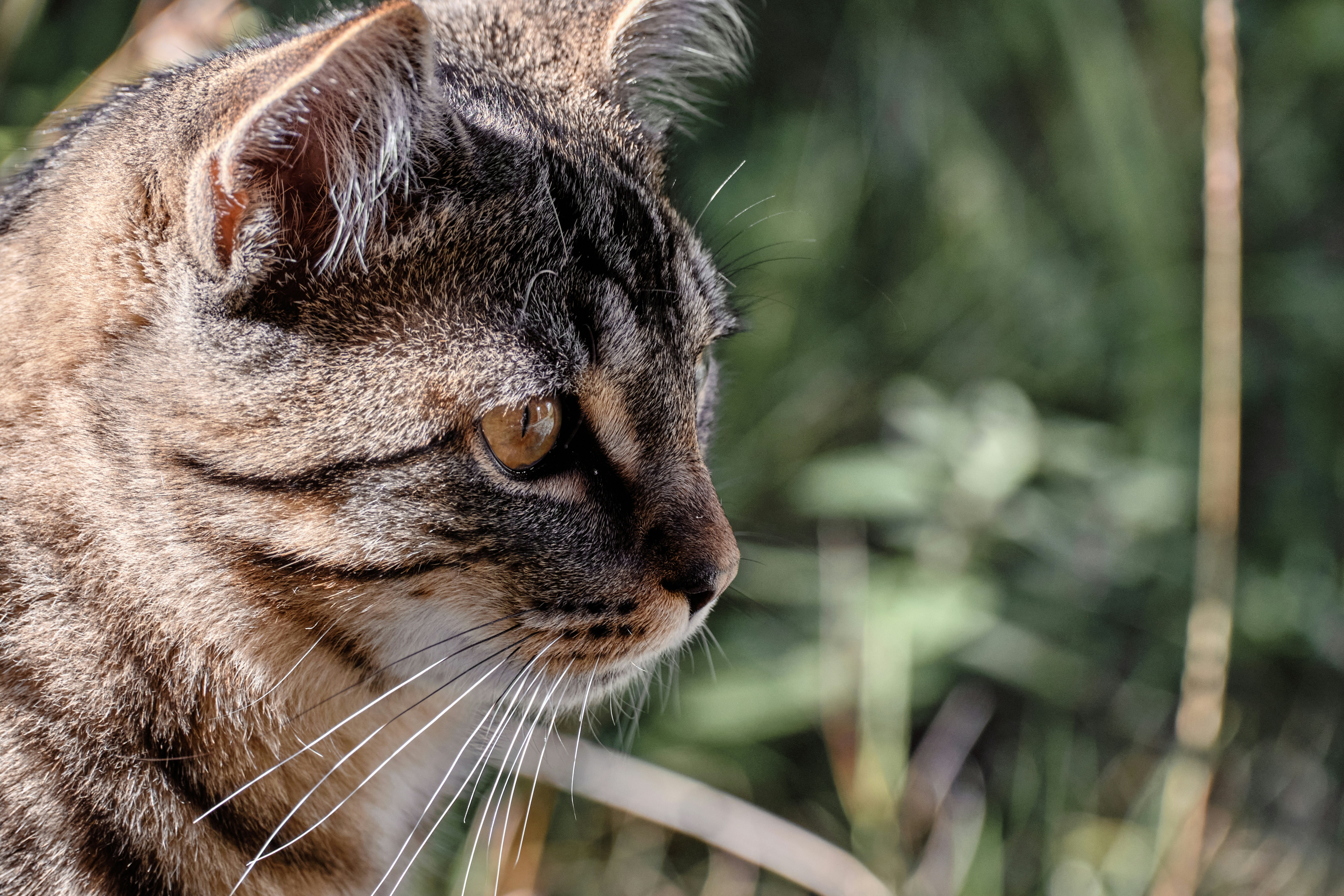 Photo by marcus_ganahl