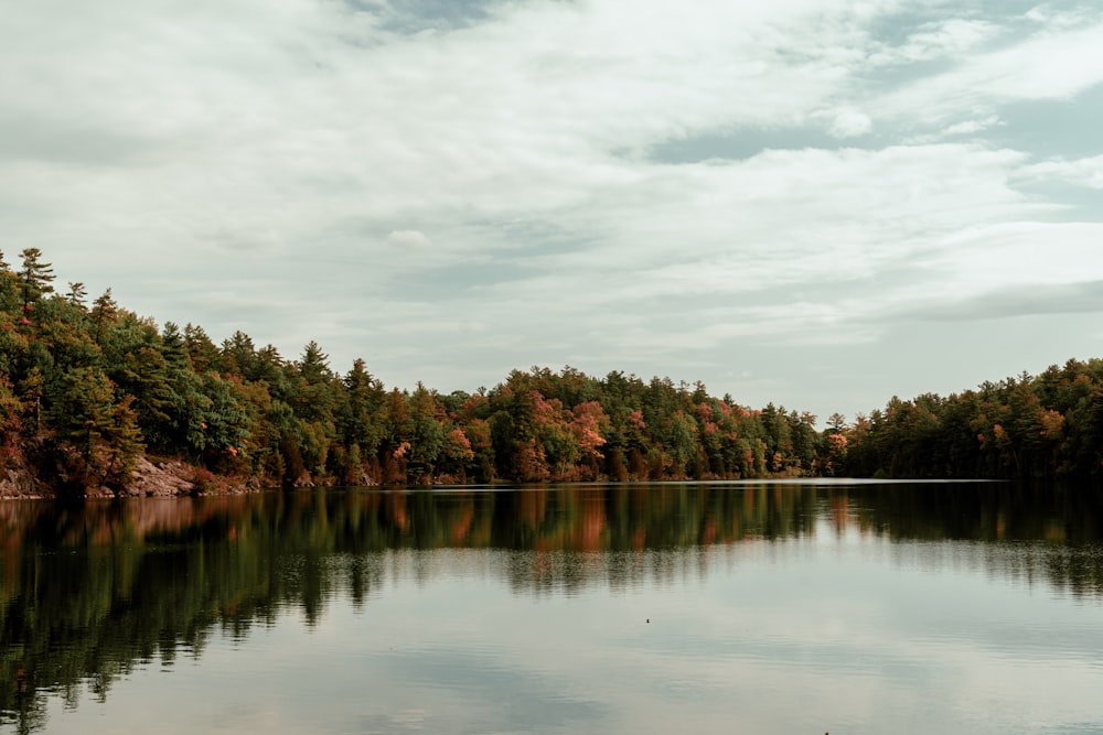 a body of water surrounded by trees and clouds