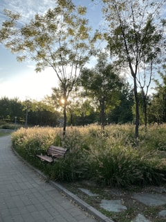 A peaceful moment of meditation and mindfulness in a quiet park