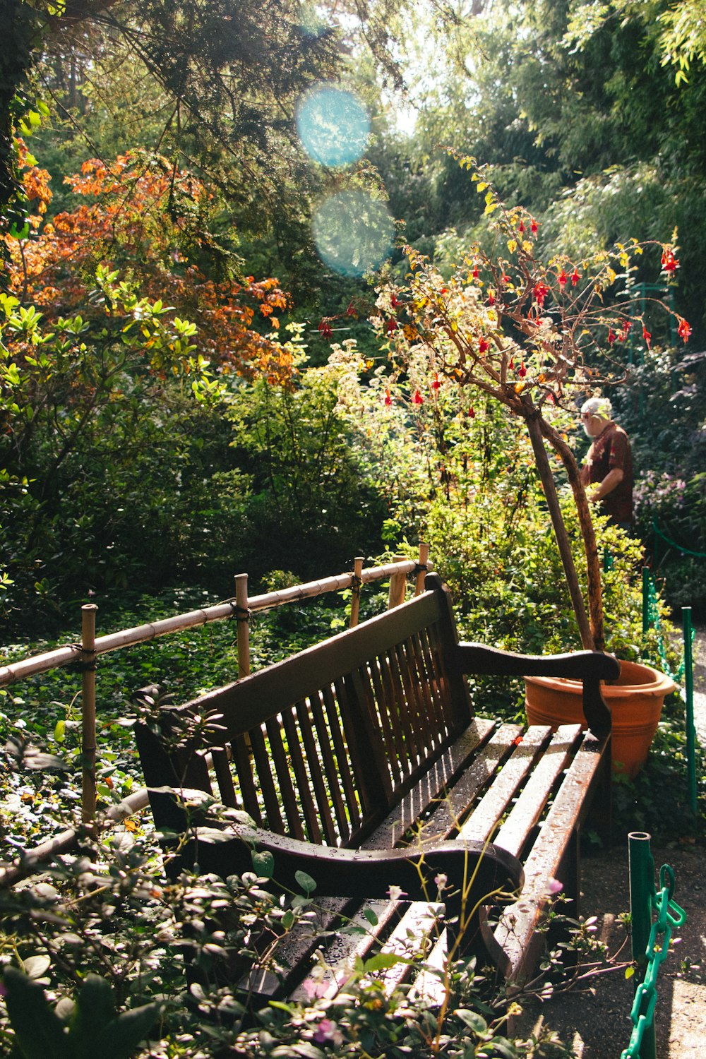 a wooden bench sitting in the middle of a forest