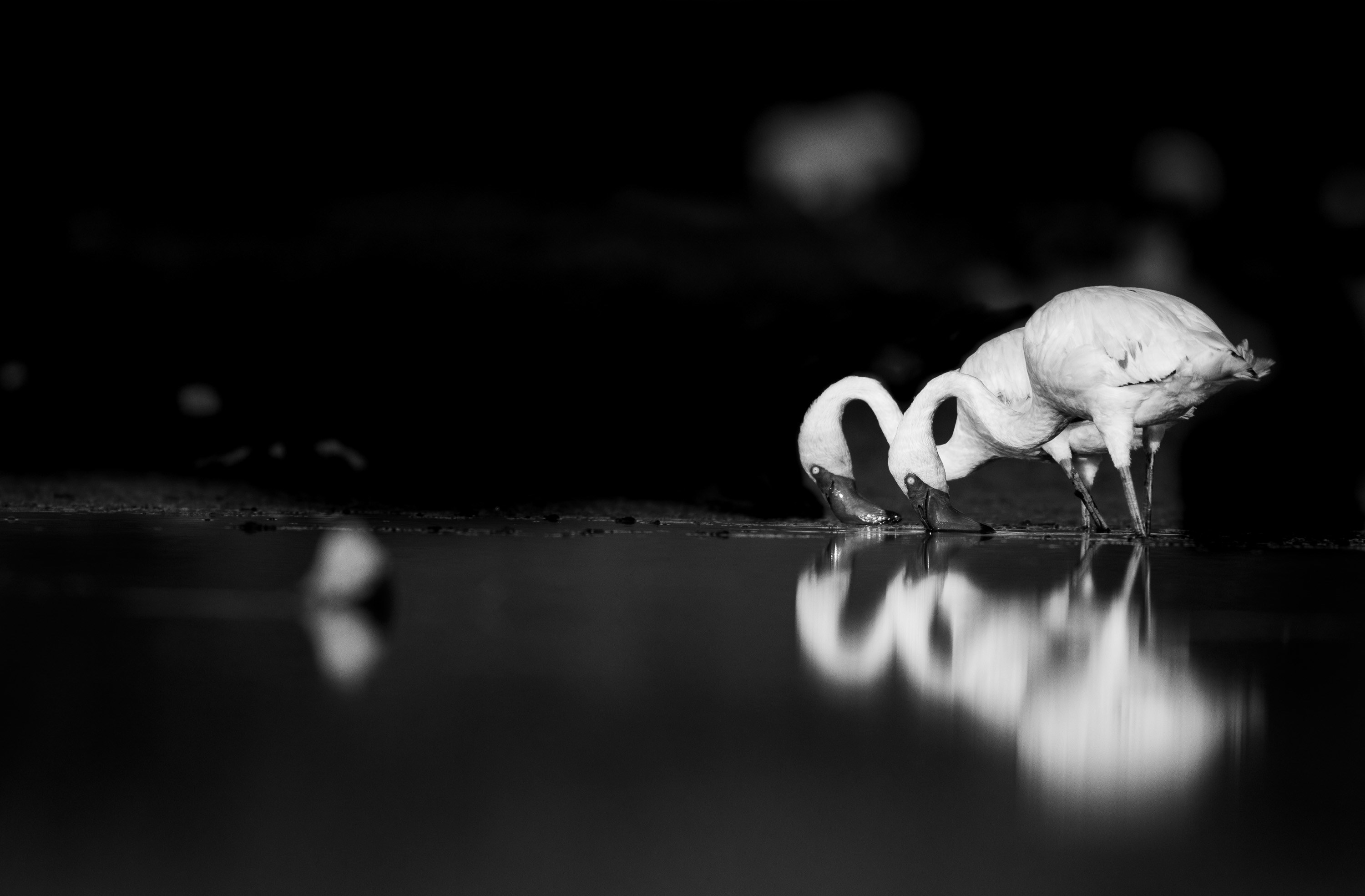 Photo by udaykiran_28