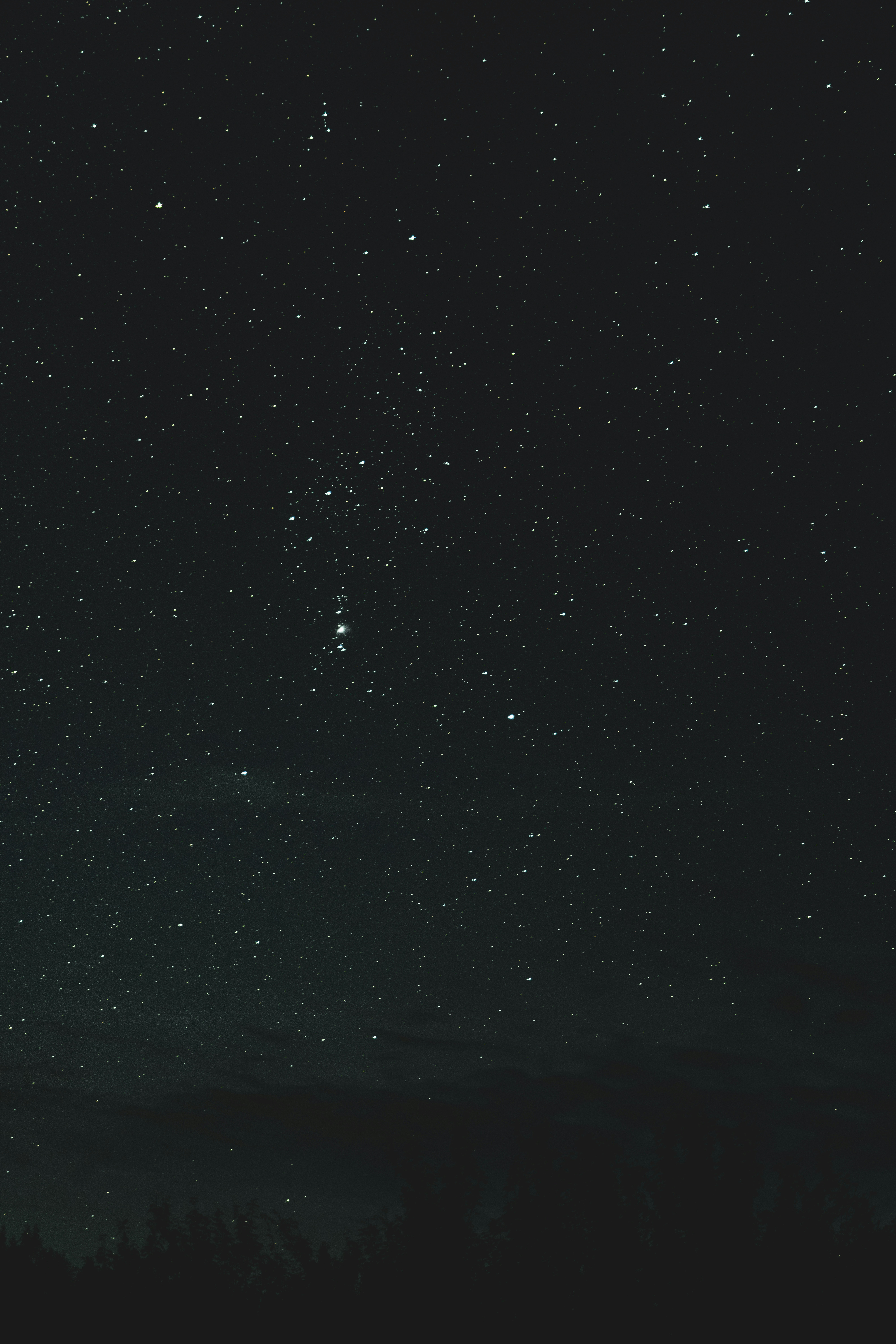 the night sky is filled with stars and trees