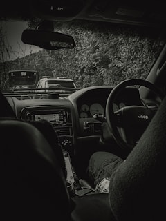A view from inside a car with a focus on the dashboard, steering wheel, and interior features. The outside scenery reveals cars queuing ahead with dense foliage on the right side. The interior is dimly lit, showing the car brand on the steering wheel and a soft drink bottle near the passenger seat.