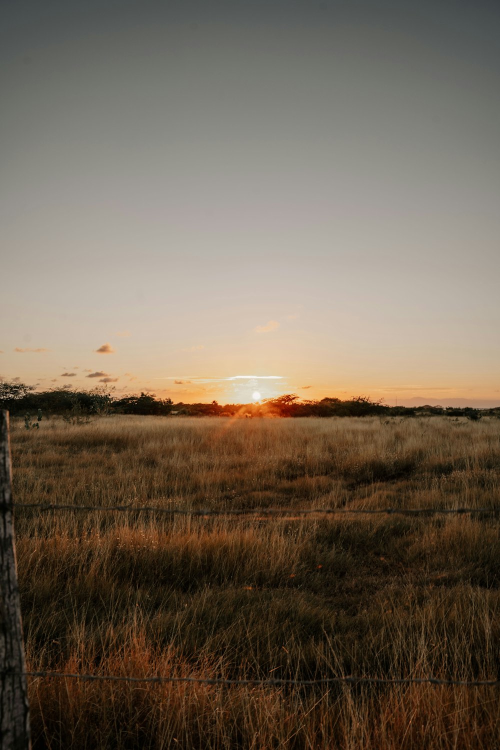 a field with a fence and a sunset in the background