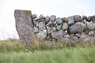 Stone well surrounded by grass and wildflowers on Hog Island
