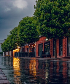 A cinematic shot of a quiet street in Vilnius under soft rain, reflections glowing.