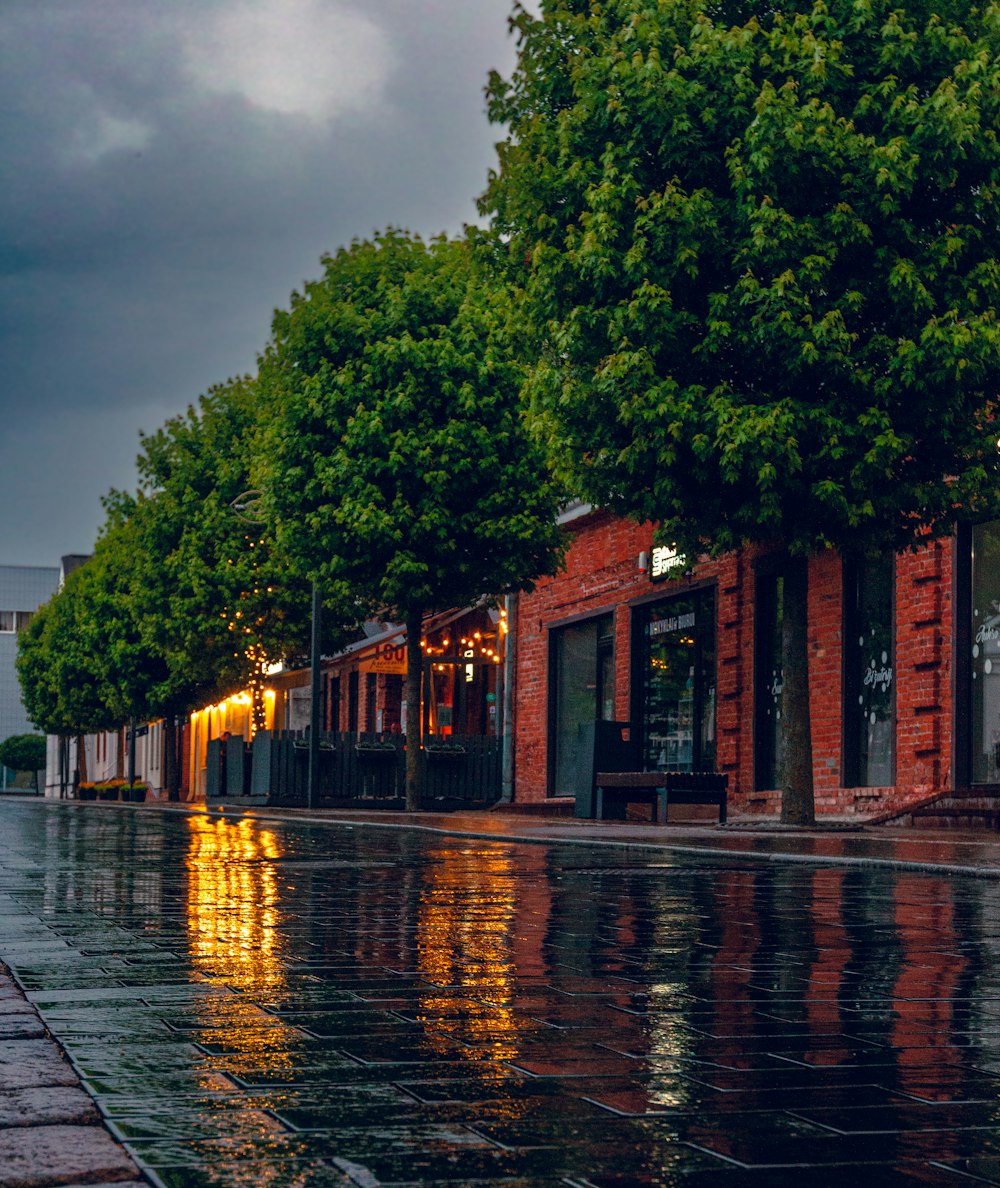 a wet street with a row of buildings and trees