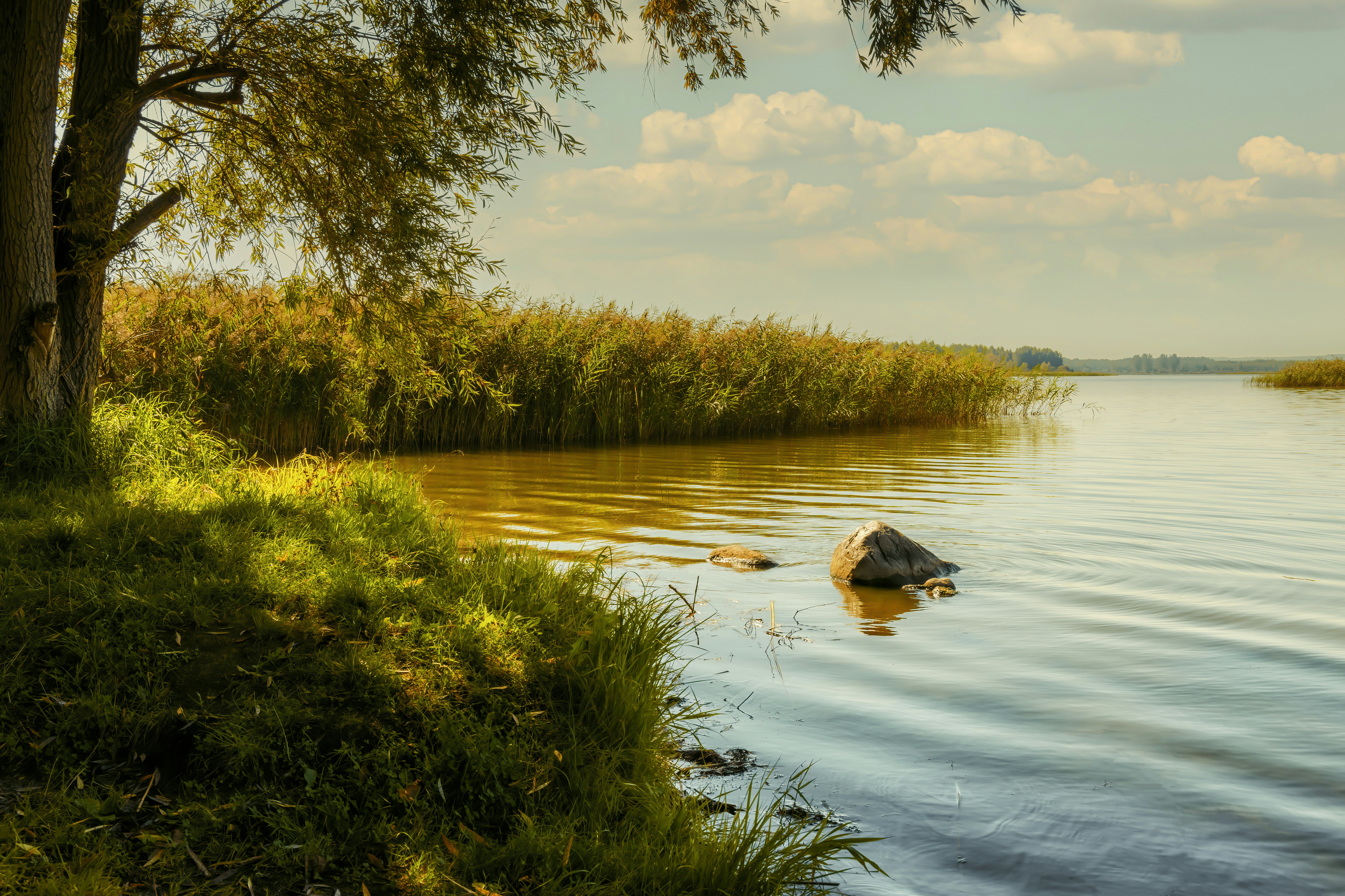 Photo by mcisowski