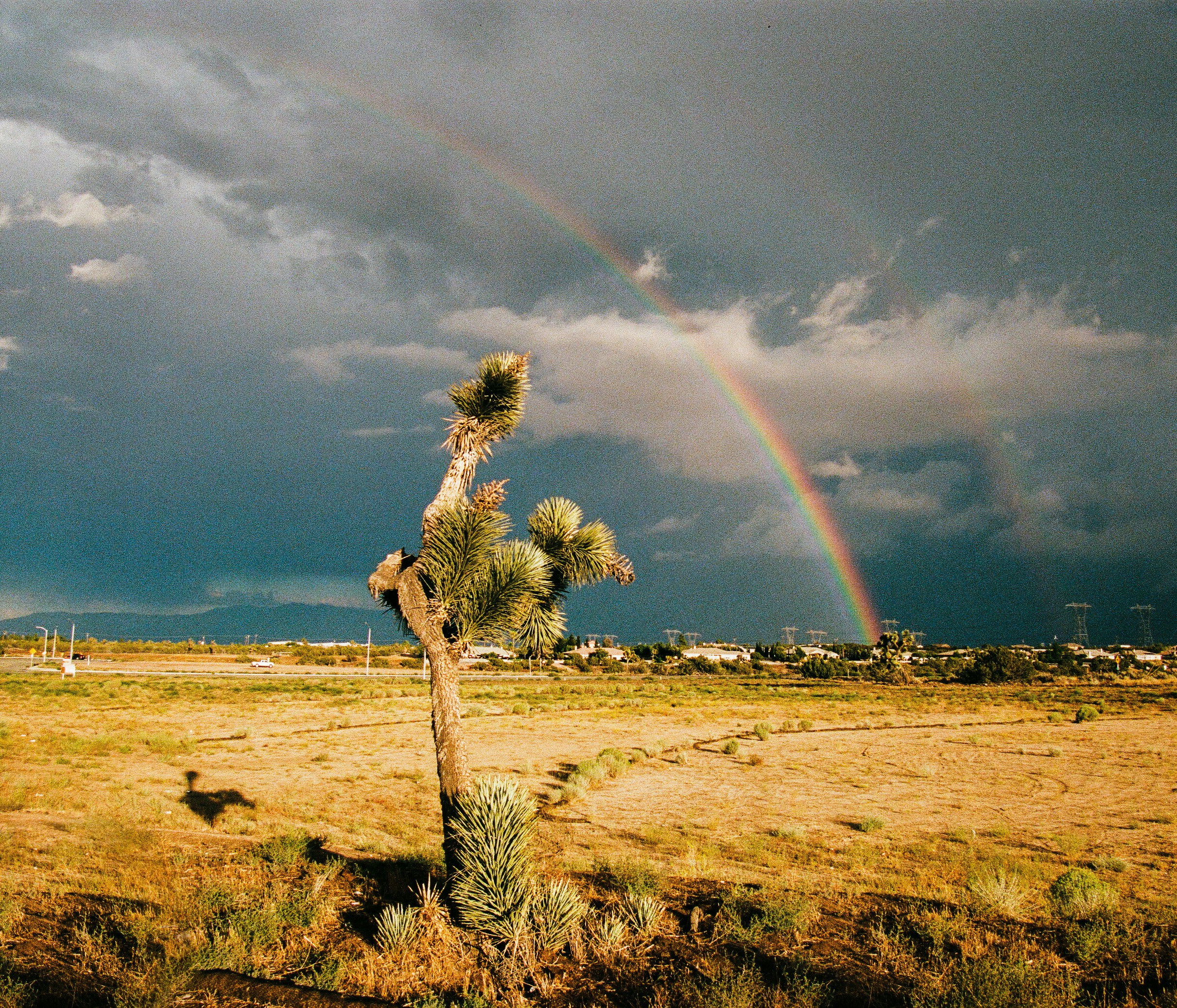 a rainbow in the sky over a desert landscape