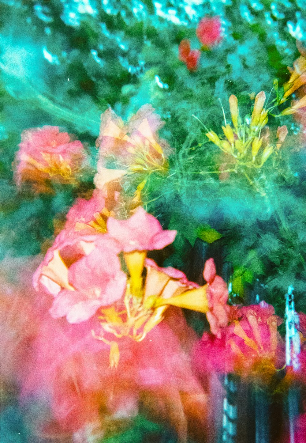 a blurry photo of flowers in a vase