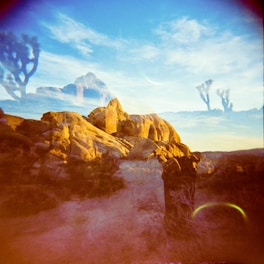A double exposure photograph combines elements of desert landscapes, highlighted by rocky formations bathed in golden light, and silhouettes of Joshua trees against a bright blue sky. Ethereal and dreamlike, the overlapping imagery creates an abstract effect.