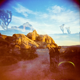 A double exposure photograph combines elements of desert landscapes, highlighted by rocky formations bathed in golden light, and silhouettes of Joshua trees against a bright blue sky. Ethereal and dreamlike, the overlapping imagery creates an abstract effect.