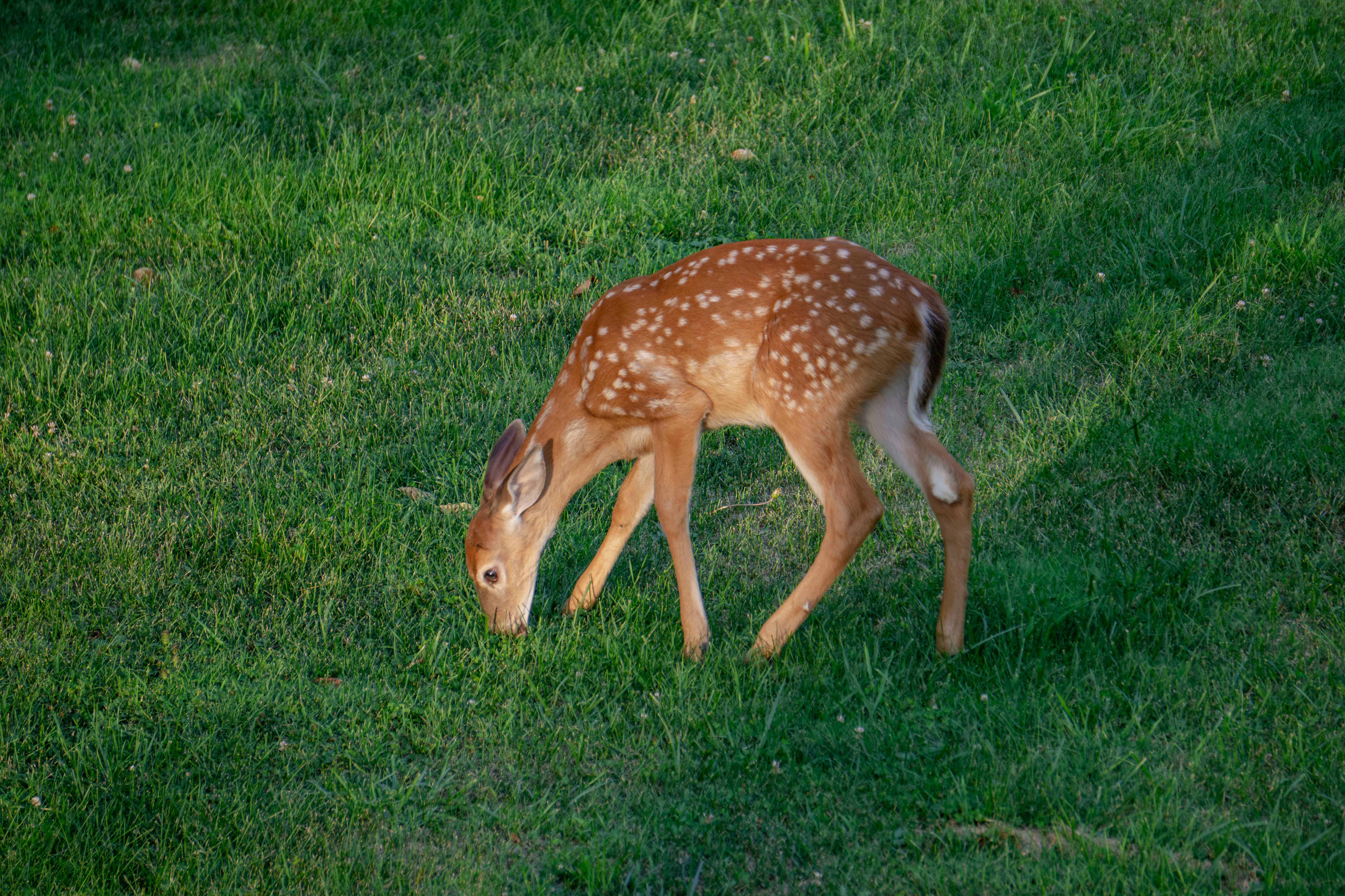 Photo by aravindreddytarugu
