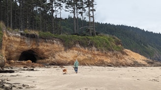 A scenic trail along the Saltburn to Whitby hike with dogs and owner walking together.