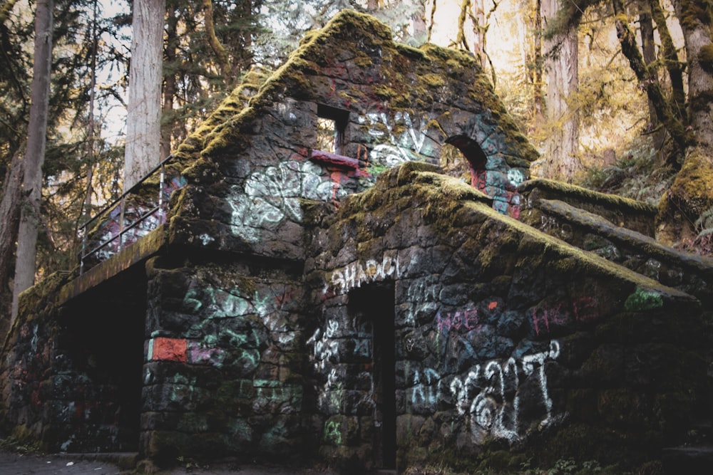 a building covered in graffiti in a forest