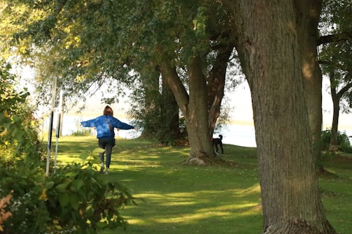A person in a blue jacket walks through a lush, green park with large trees and a grassy path. In the distance, a dog is playing near a tree. The scene is bright and filled with natural light, suggesting a pleasant day.