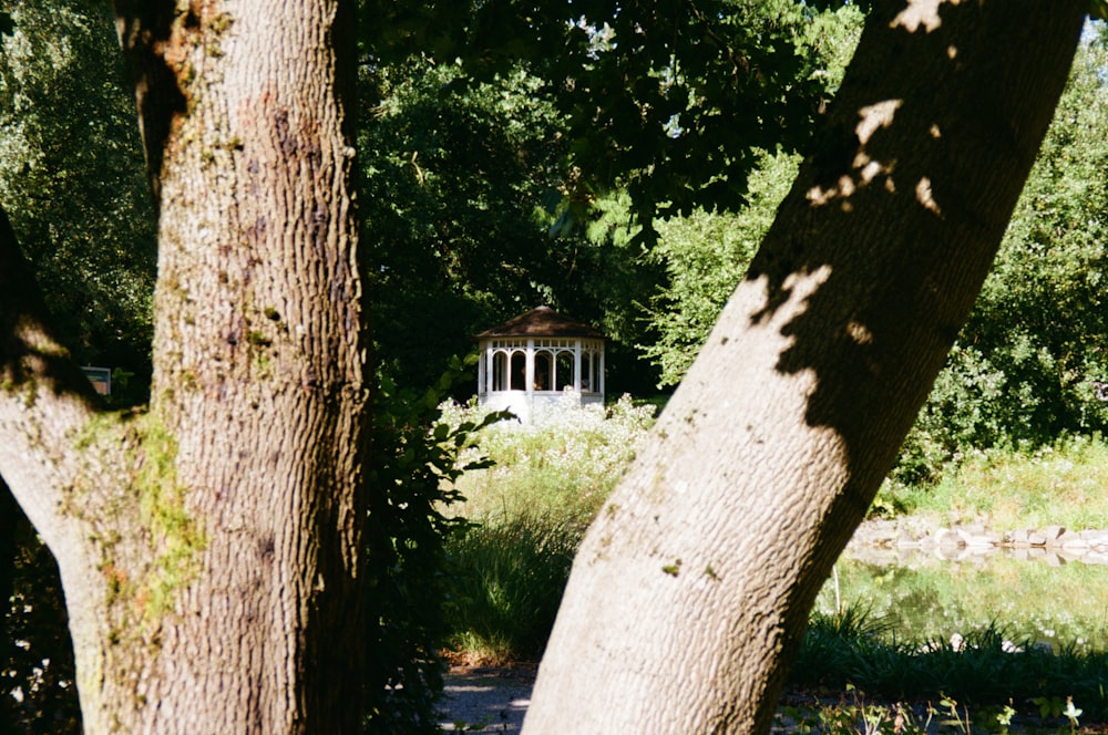 a gazebo surrounded by trees in a park