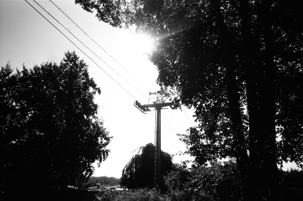 a black and white photo of power lines and trees